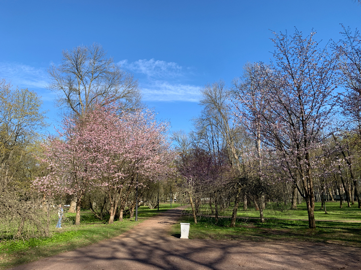 Фото автора от 27 апреля 2025