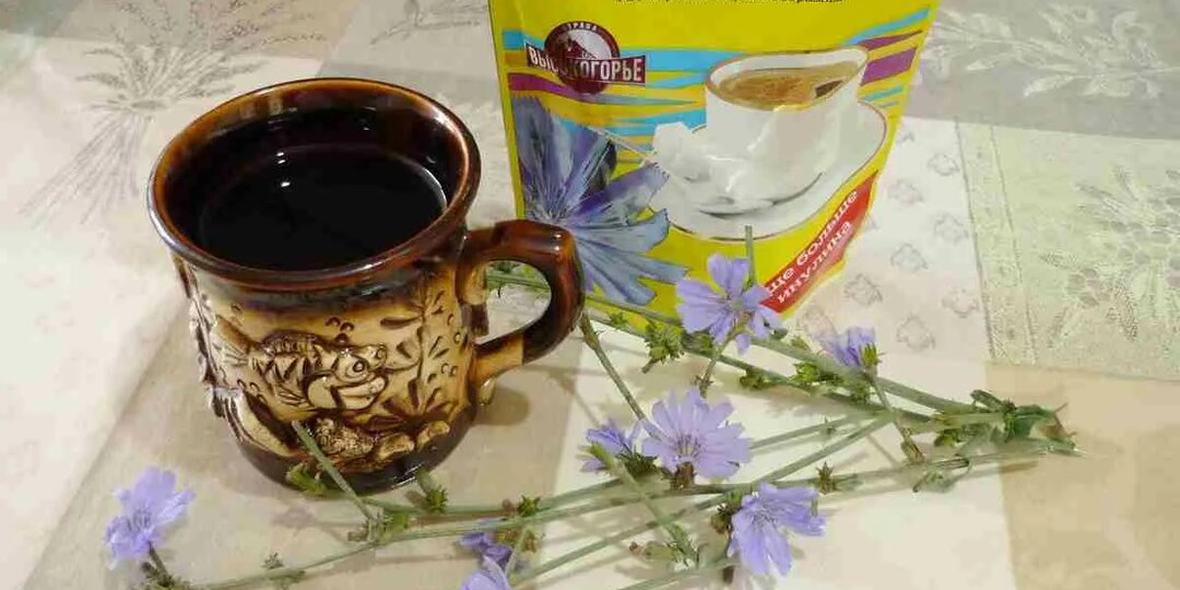 Почему я полюбила цикорий после 60 — и как он реально помогает организму