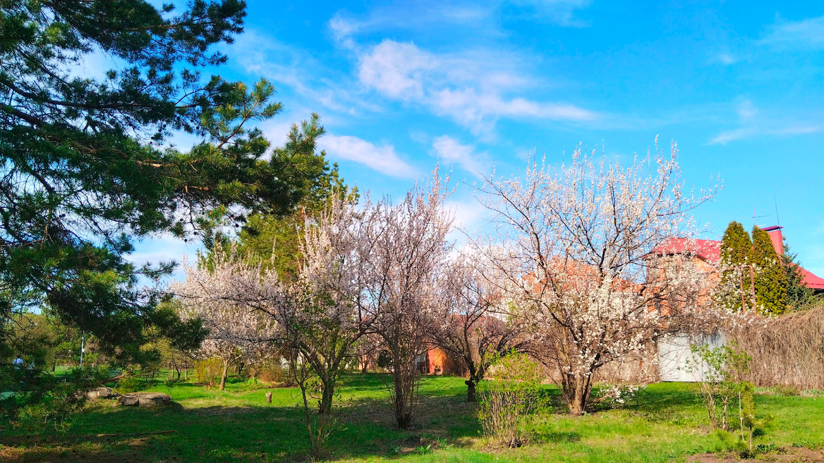 Фото автора