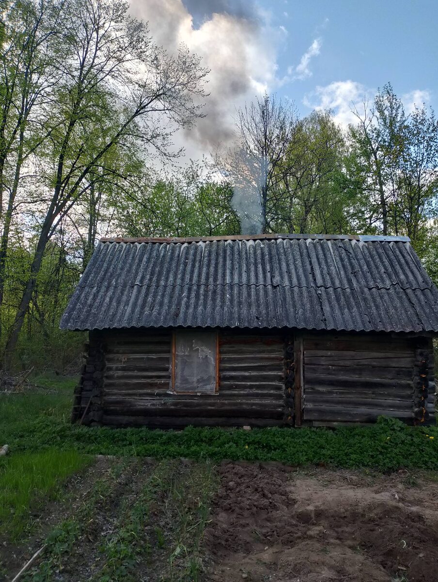 Свежачок, фото прямо с пылу, с жару. Сегодня синоптики гадают самую холодную ночь, потом можно огурцы сажать.