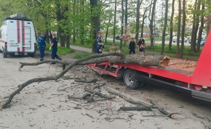    администрация Краснодара