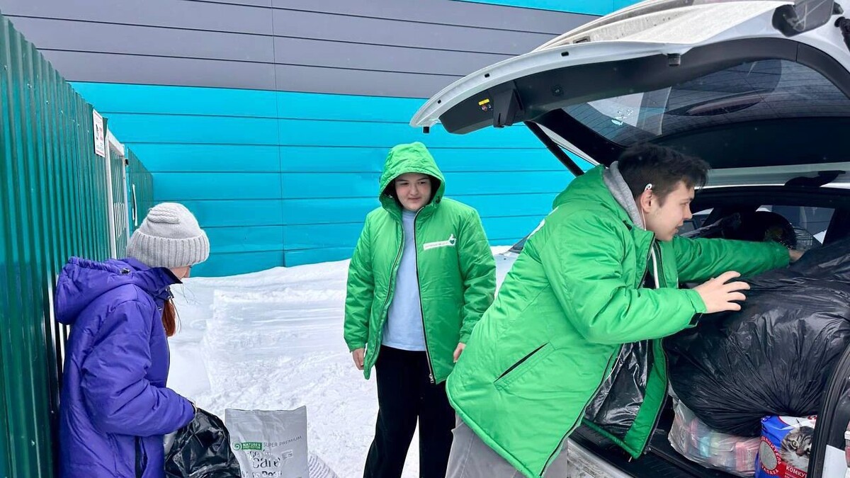    Фото: t.me/nur_adm