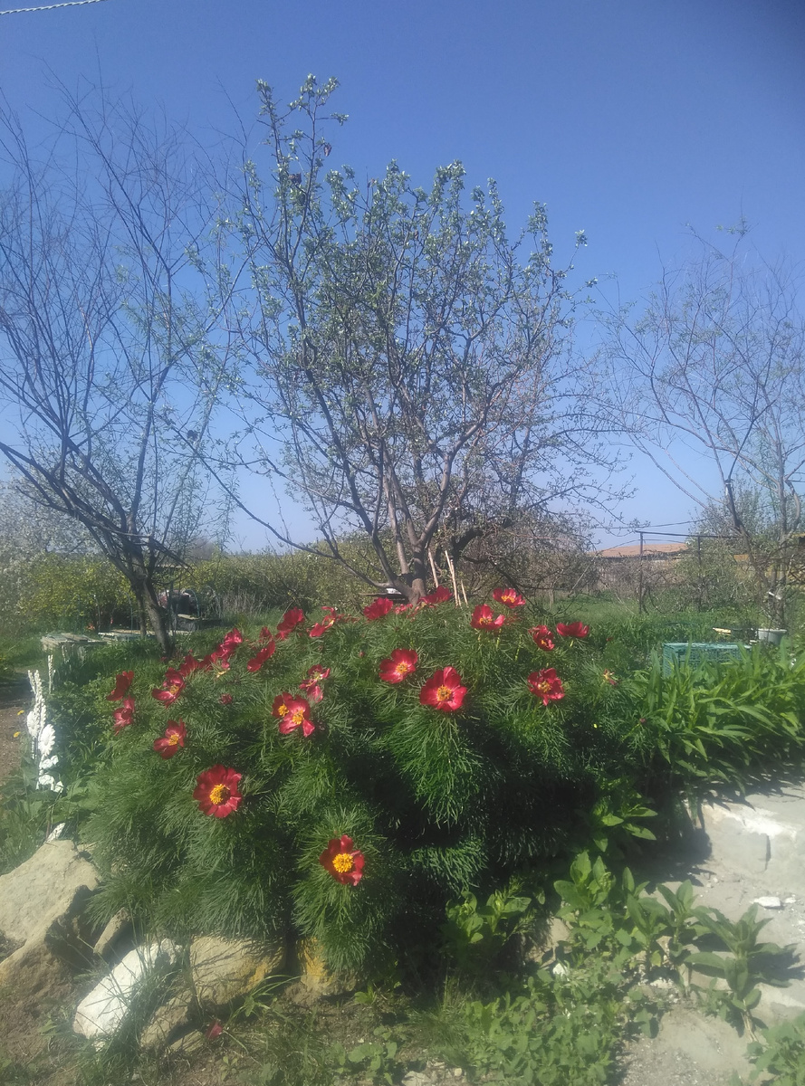 Отличная погода, можно ехать погулять с металлоискателем.