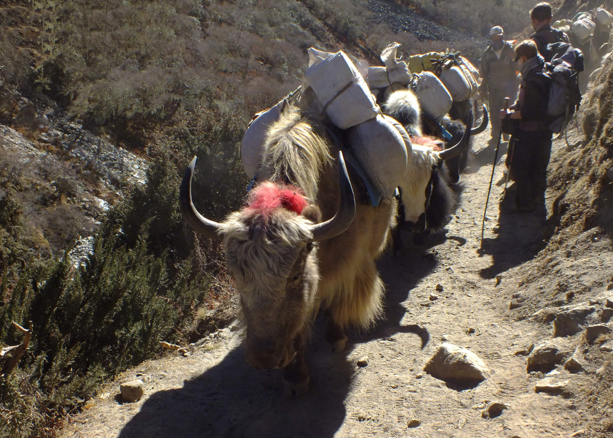 Фото: Галина Погодина