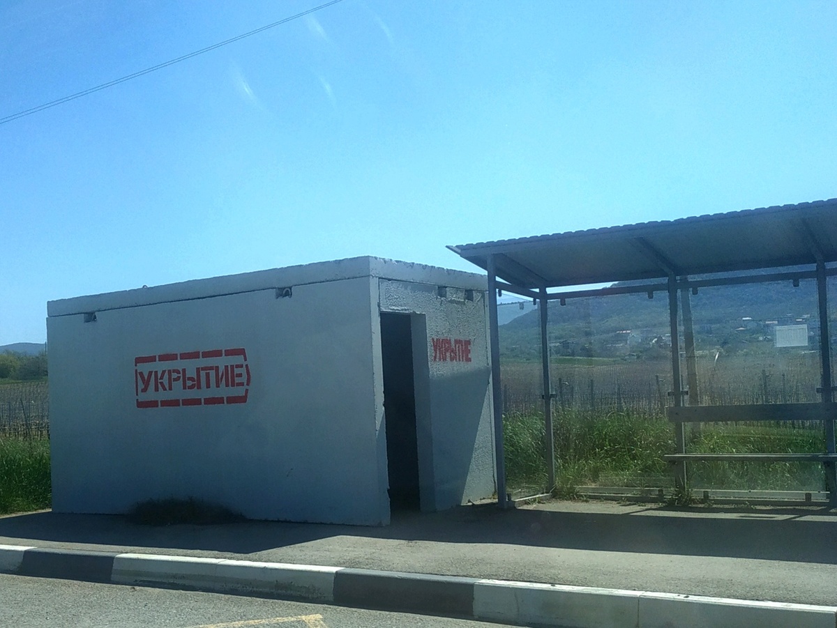 Фото автора.