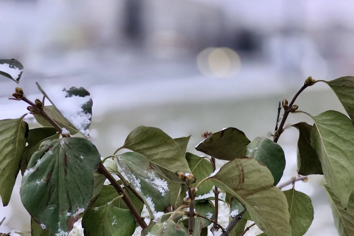 Фото: UfaTime.ru