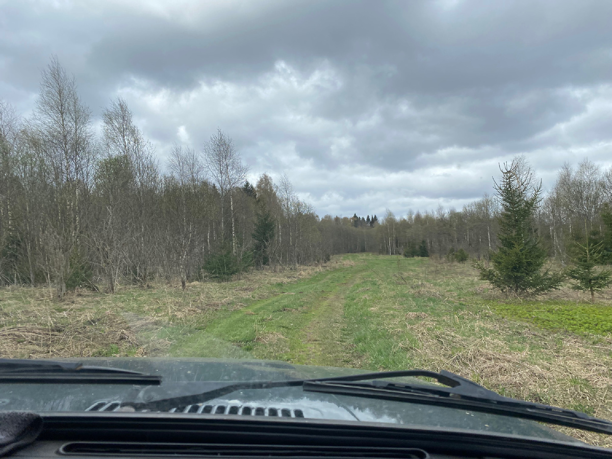 Дорога, ведущая в Фоминское