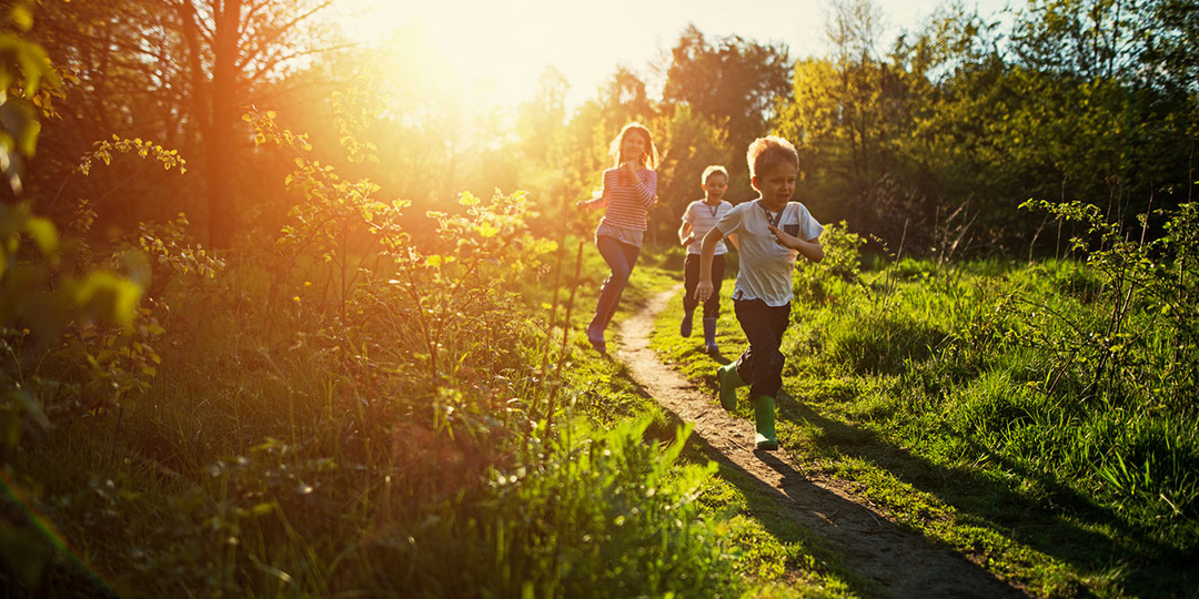 Воспитание детей