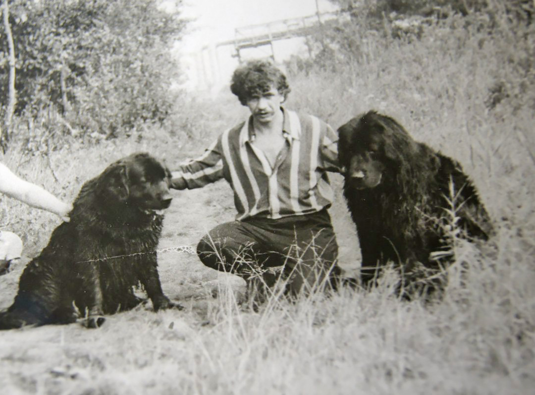 мой папа  примерно 1980 год и прекрасные ньюфаундленды