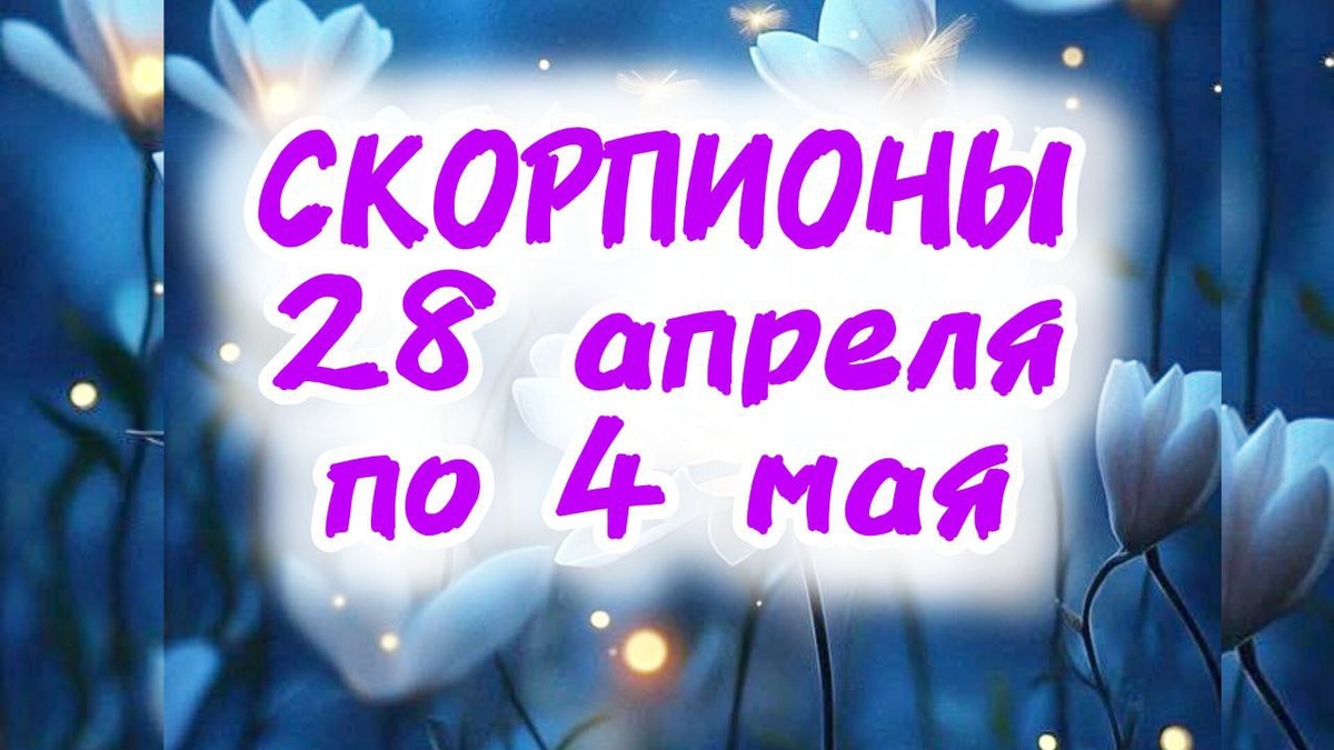 фото принадлежит автору канала