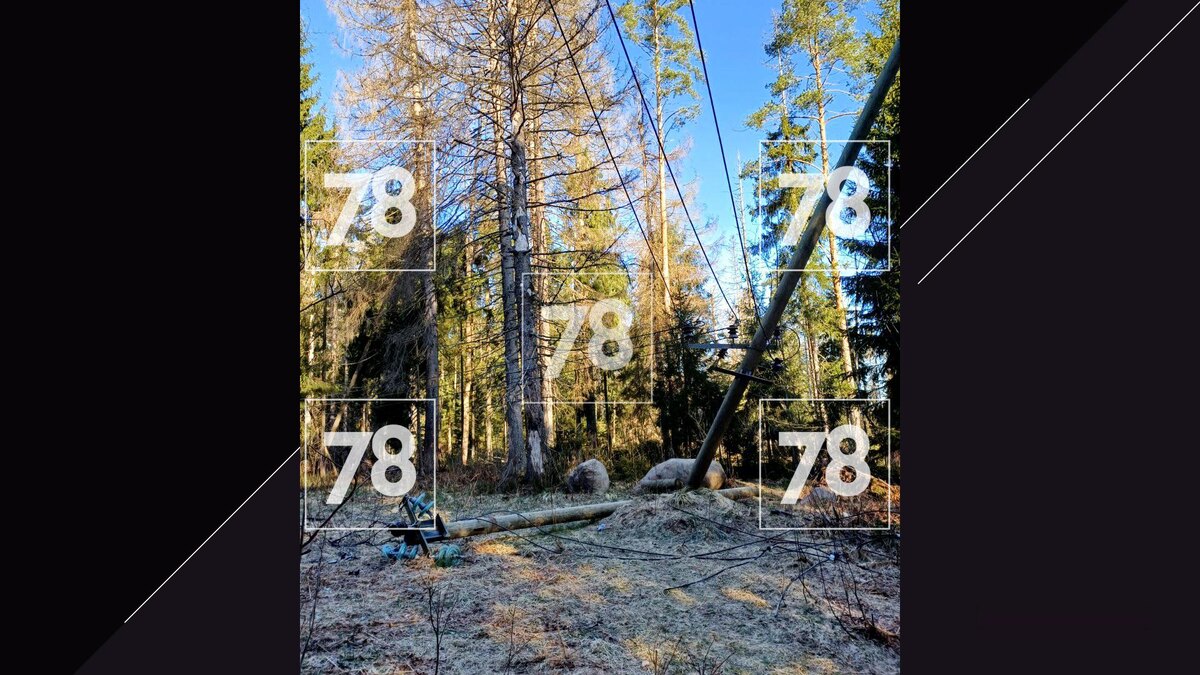    Фото: соцсети