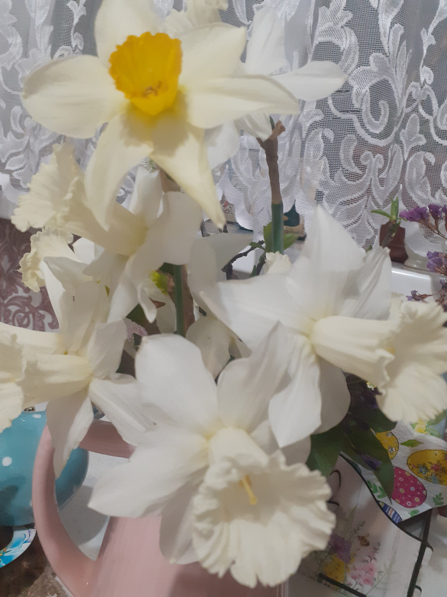 Такой букет мне подарила сегодня Сонечка, кажется я подозреваю где она  их нарвала🤣( не на нашем участке😉😁)