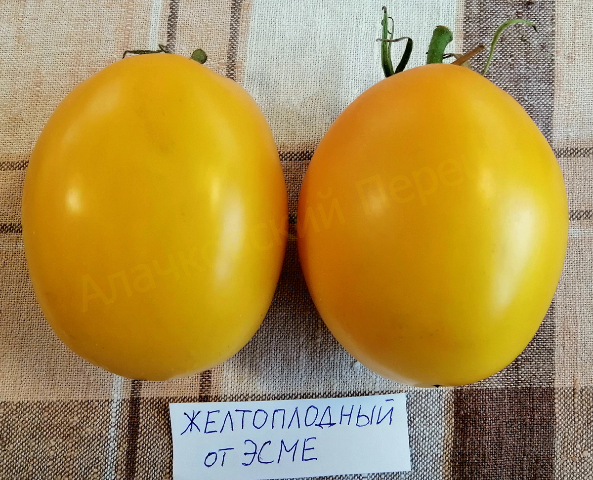 Желтоплодный от Эсме
