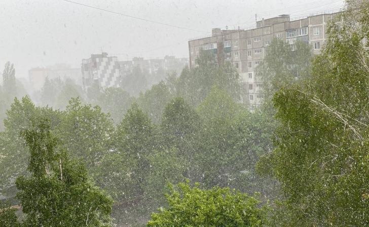    Фото "Курских известий"