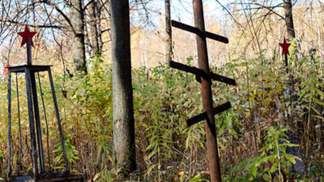    Фото: Elena Mayorova/Globallookpress