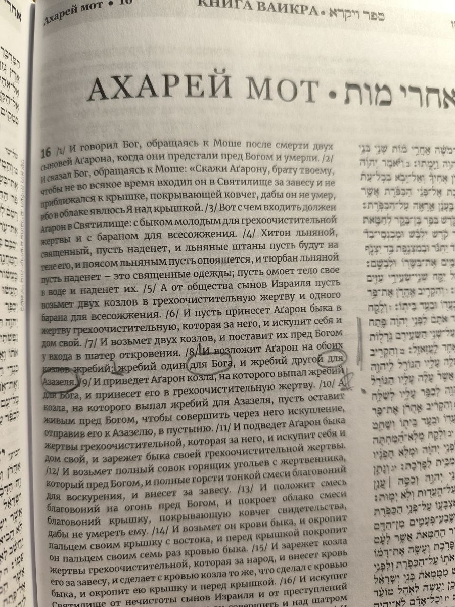 Фотография текста Танаха. Личный архив.