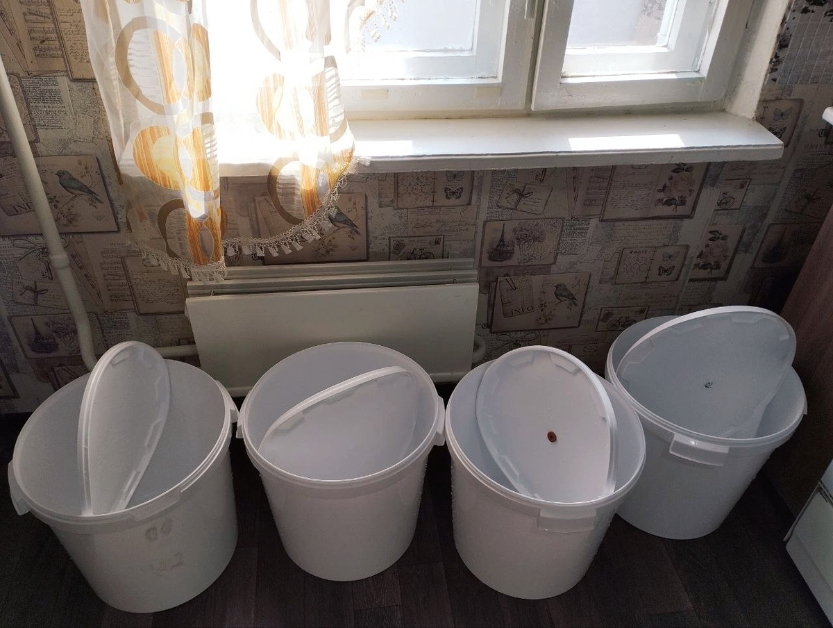 Бочки для браги