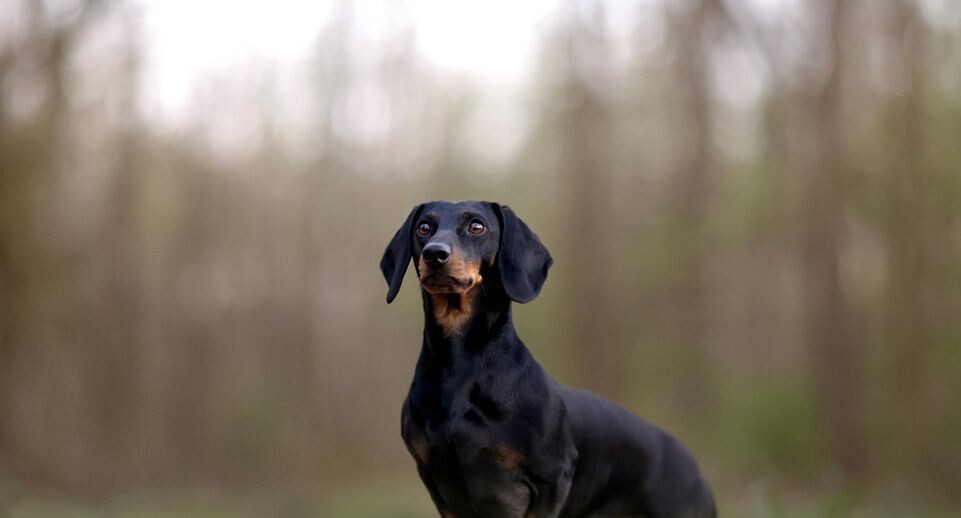    IMAGO/Christoph Hardt/www.imago-images.de / www.globallookpress.com