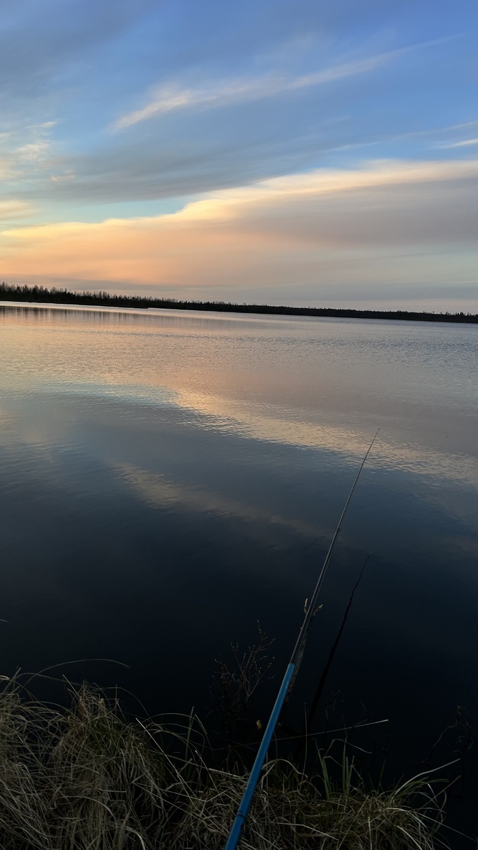 Во какая красота .