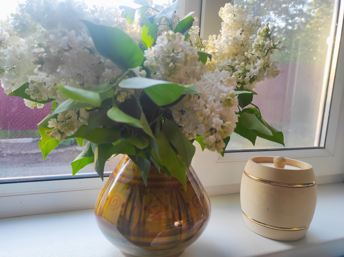 а это вам от меня букетик нашей сирени