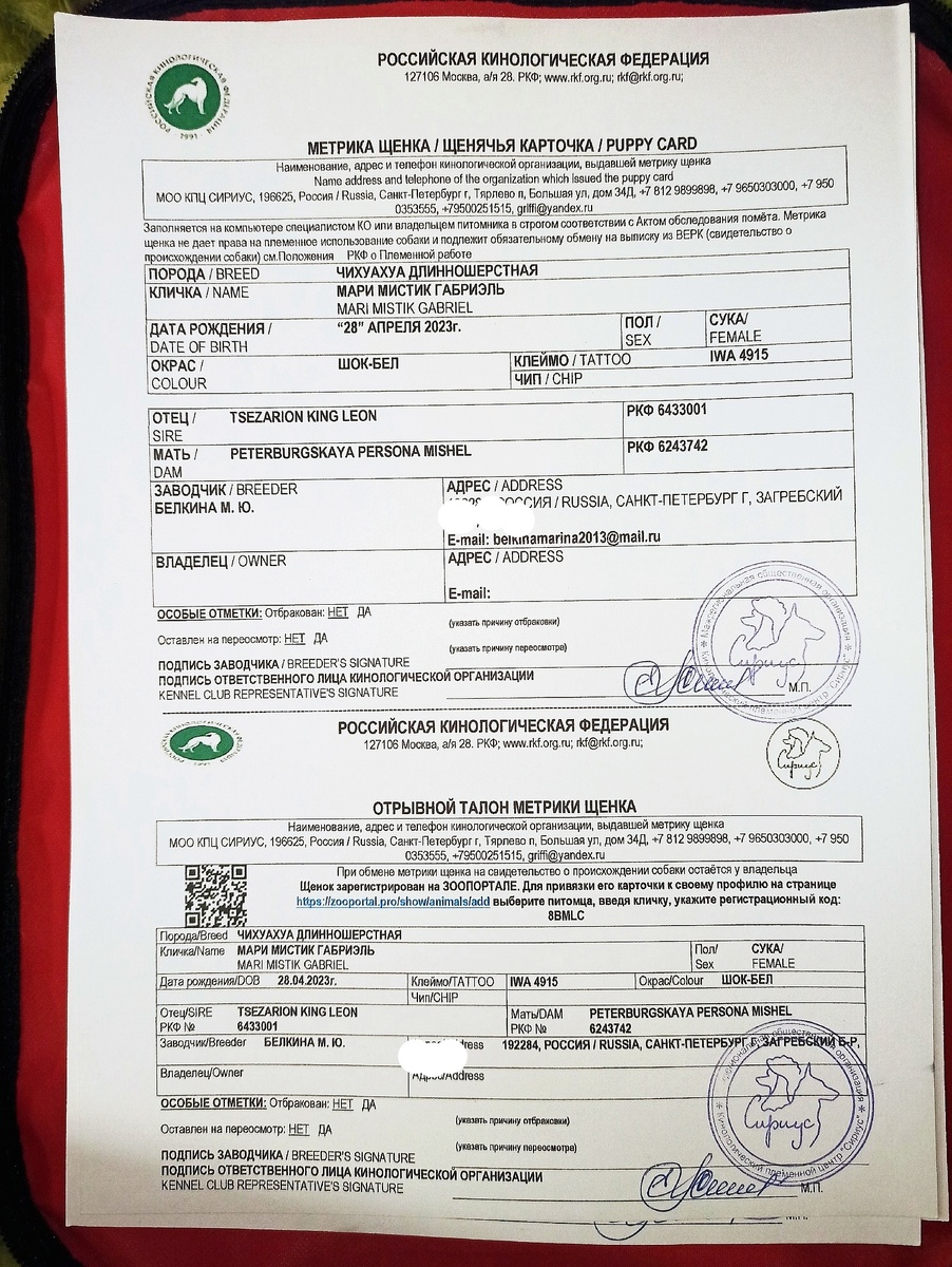 ТАК ВЫГЛЯДИТ МЕТРИКА ЩЕНКА РКФ В 2025 ГОДУ