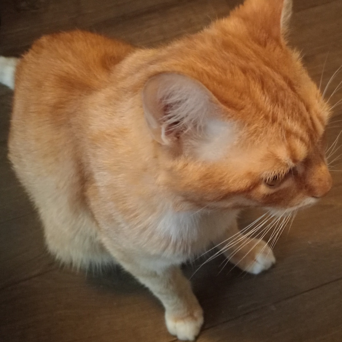 Сижу, жду, пусть проспит до пяти!