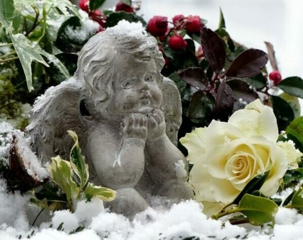    Фото: pixabay.com