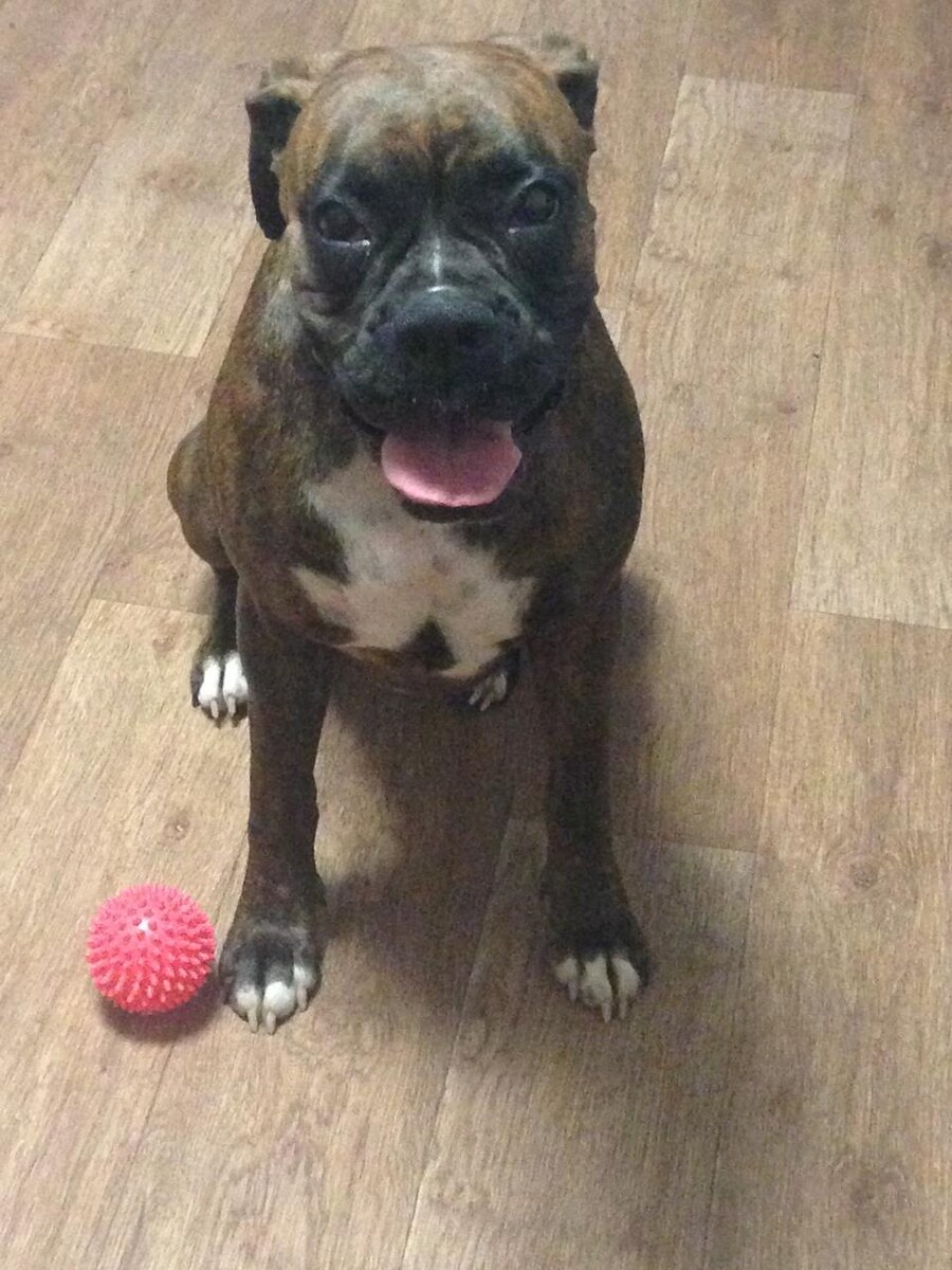 Шанти. Фото из личного архива.