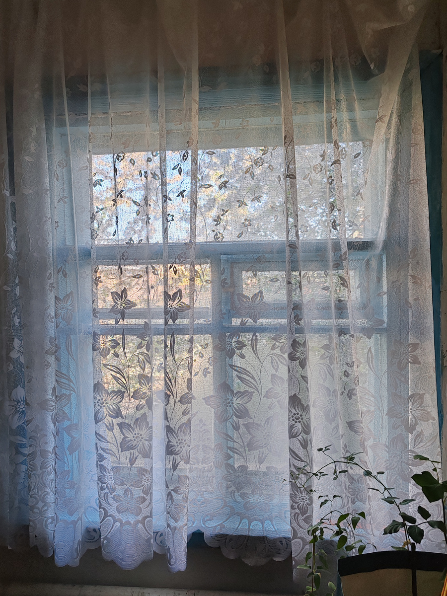 Это моя рассада виднеется - клематис и роза