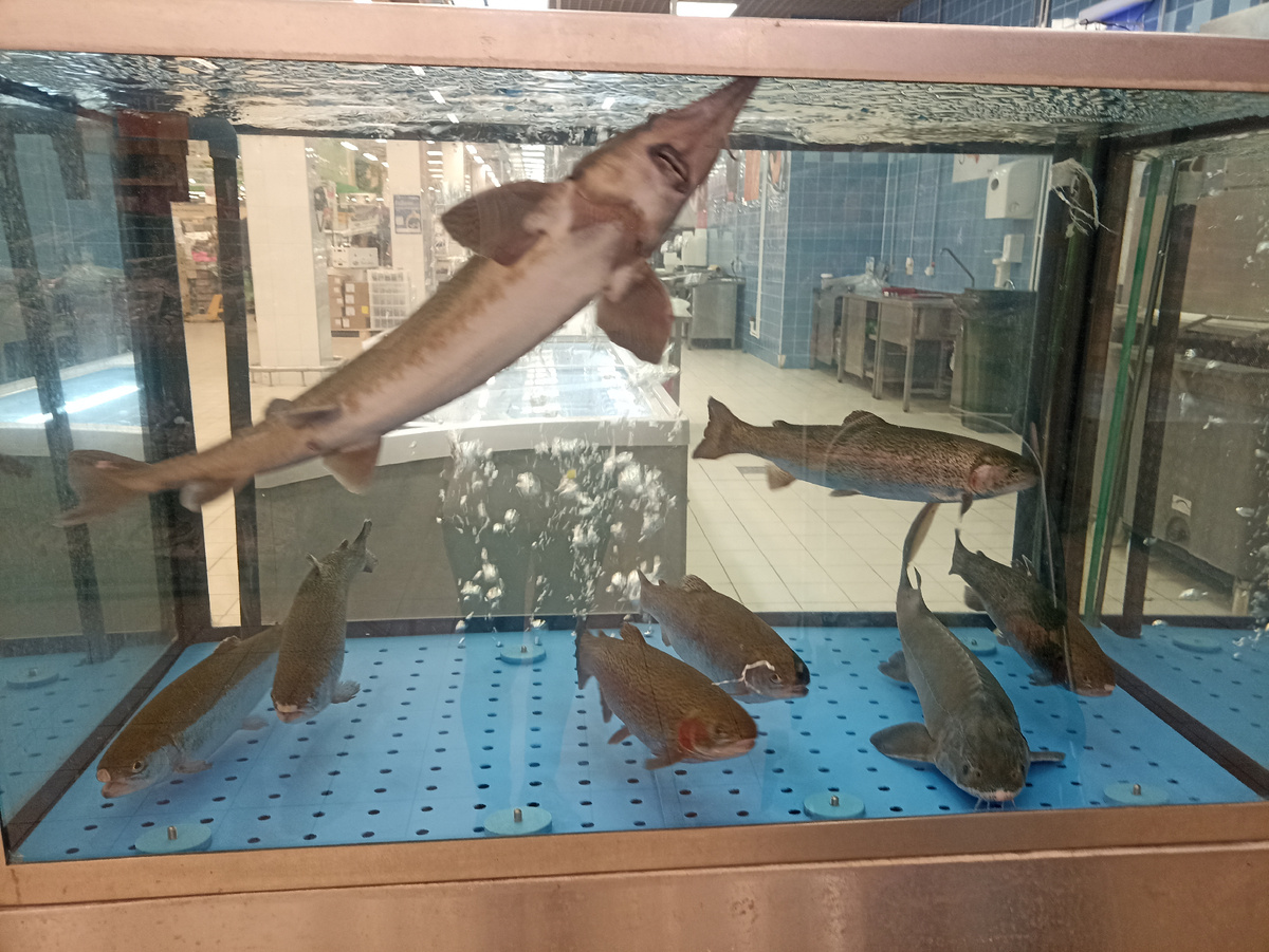 В супермаркете