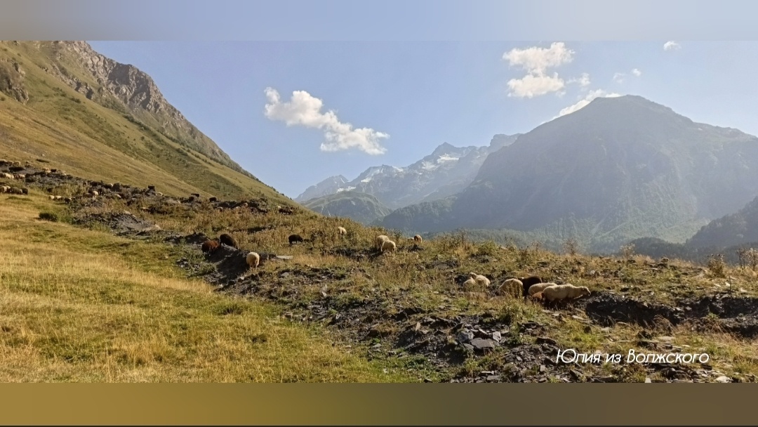На этом фото они уже убежали дальше от меня. Сначала они были намного ближе:) 