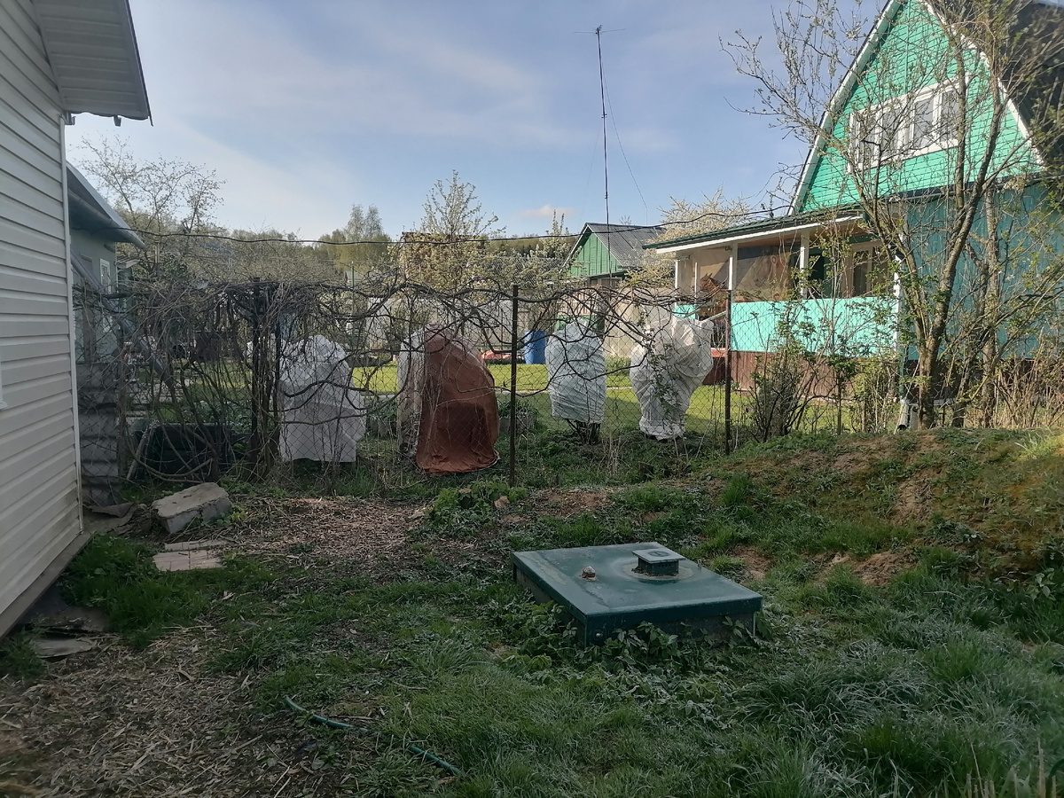 Приведения на соседском участке