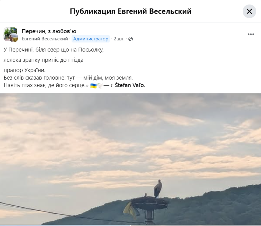    На Украине ликование: в гнезде аиста нашли рваный украинский флаг