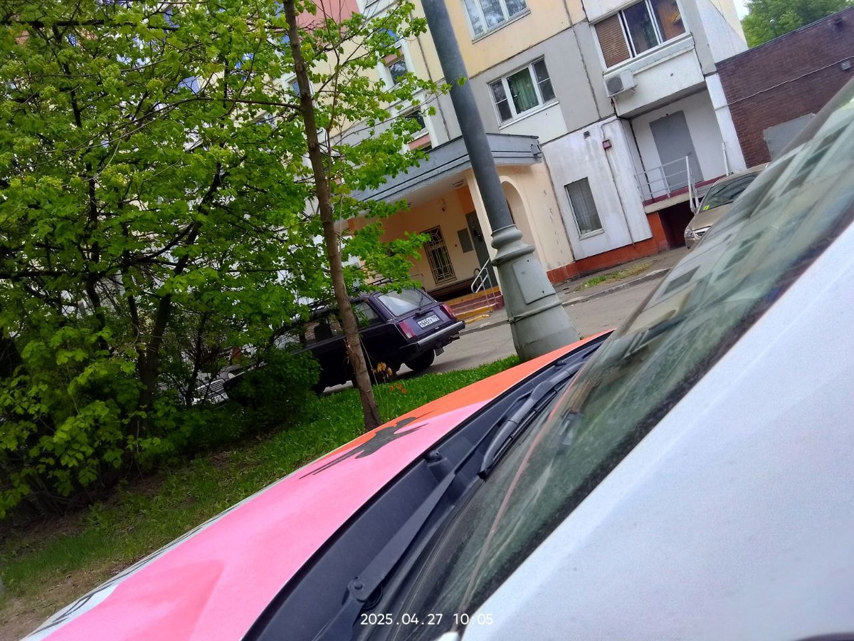 Сейчас вынесут пакетик с моим кормом