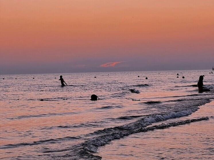     Фото: "МК в Сочи"