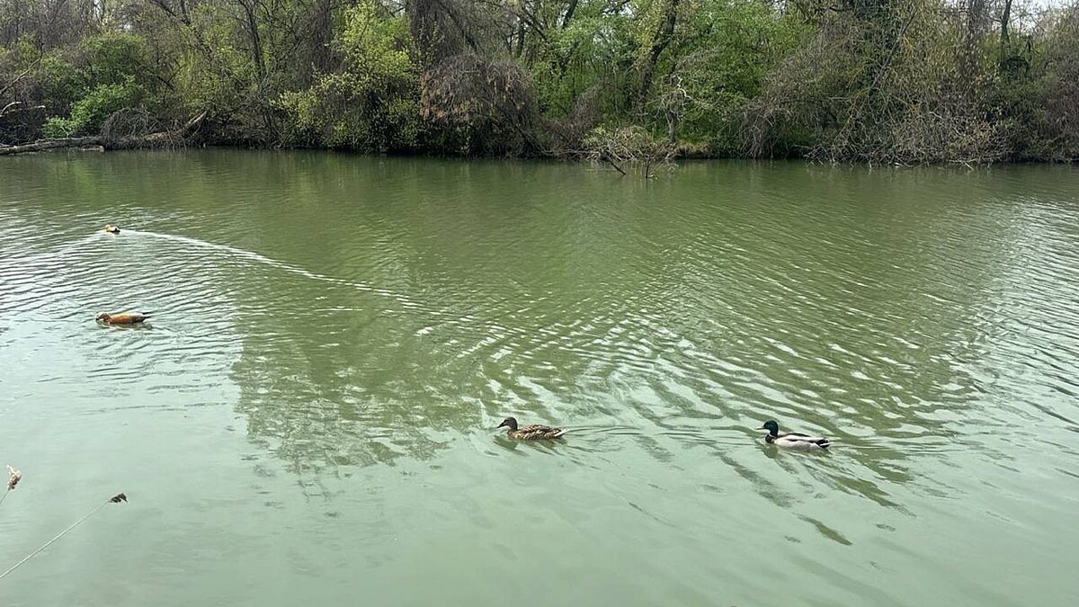   Фото: телеканал «Краснодар»