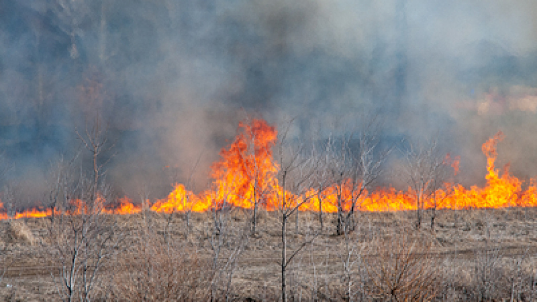    Фото: Svetlana Vozmilova/Globallookpress