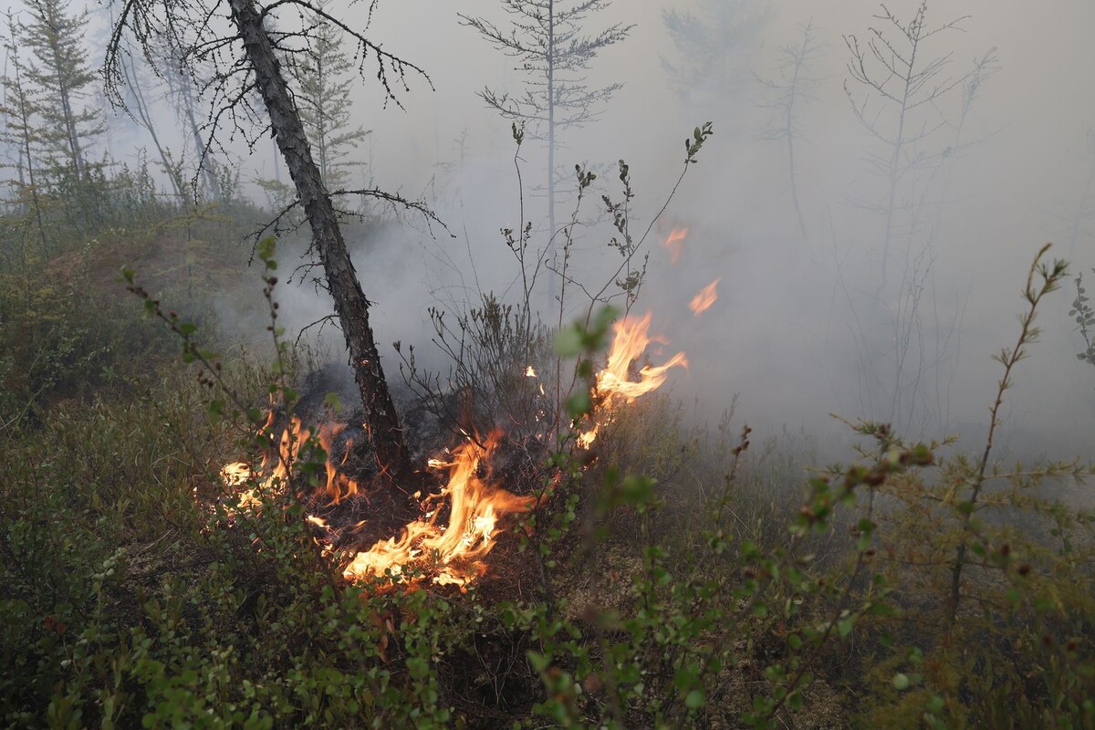     / Источник: © ИЗВЕСТИЯ