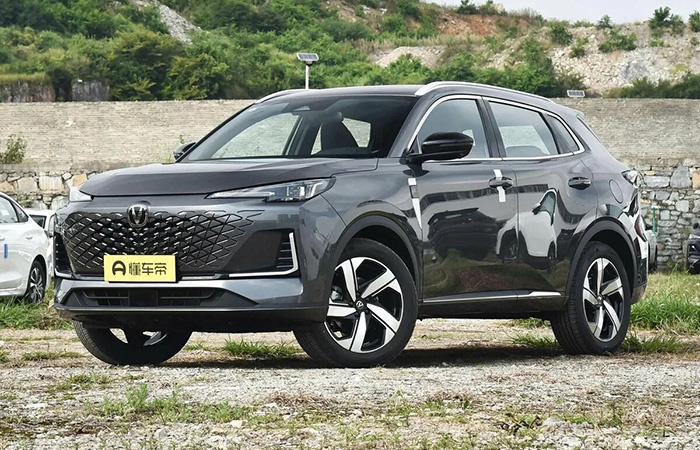 Wuling Rongguang 1.5./ Фото: pa-server.ru