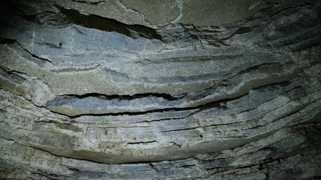    Dmitry Chasovitin/Global Look Press