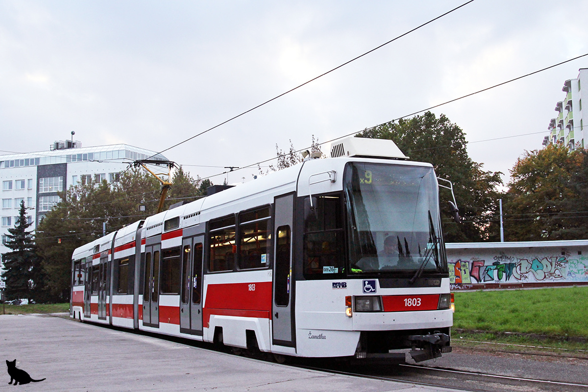 Источник: transphoto.org