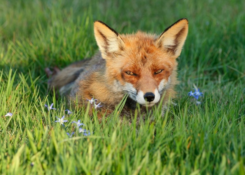    Фото: Wolfram Steinberg/Globallookpress