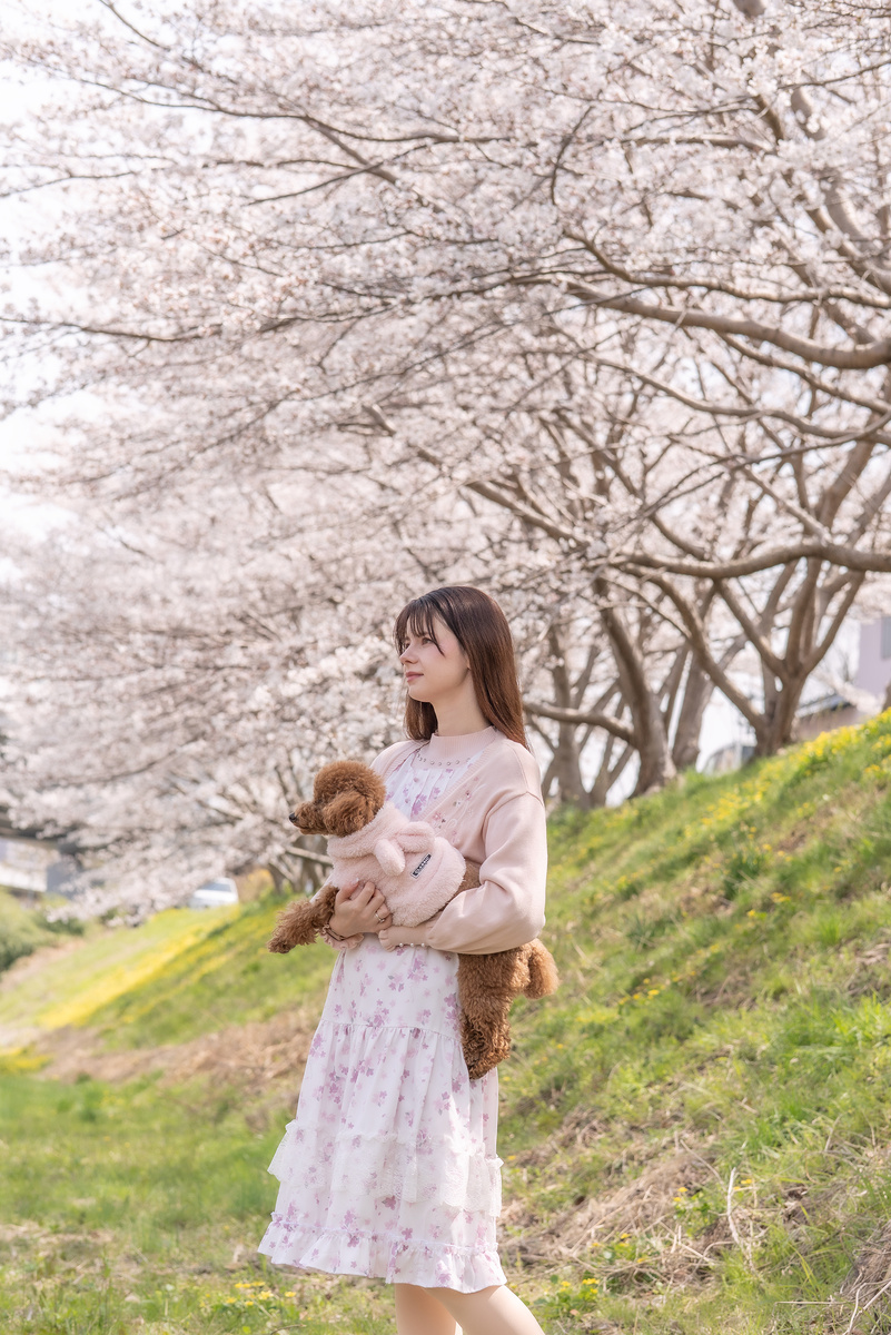 Автор блога