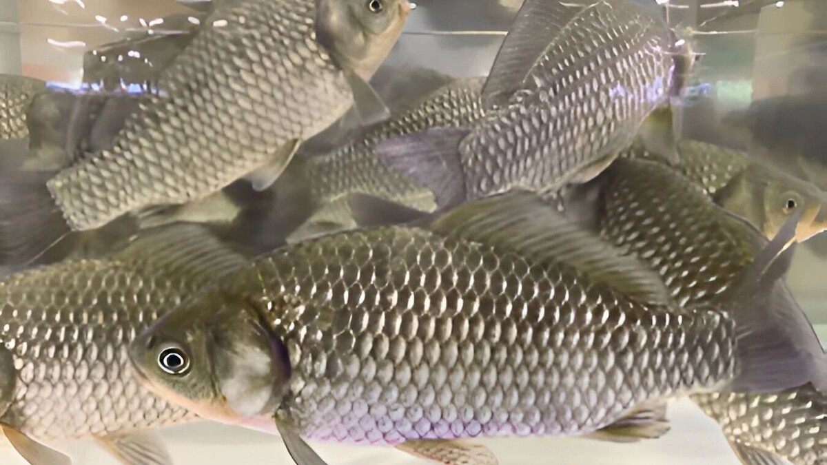     Источник: unsplash.com