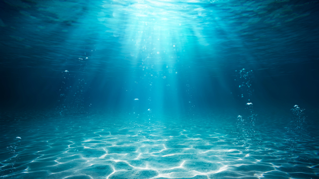    Фото: shutterstock