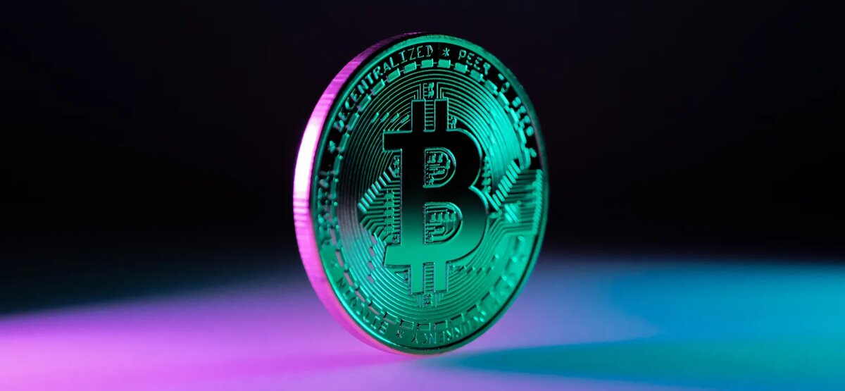 Фотография — Hansel Gonzalez / Shutterstock / FOTODOM