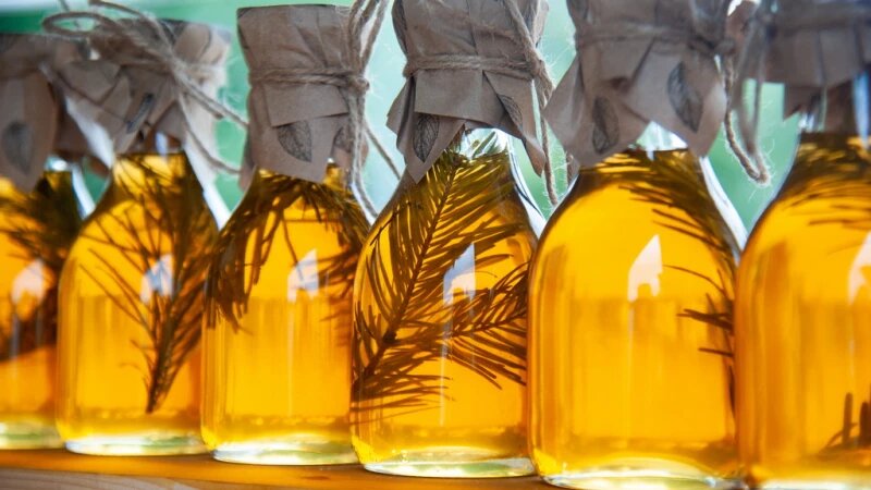     Ярмарка меда в Барнауле — 2024. Дмитрий Лямзин