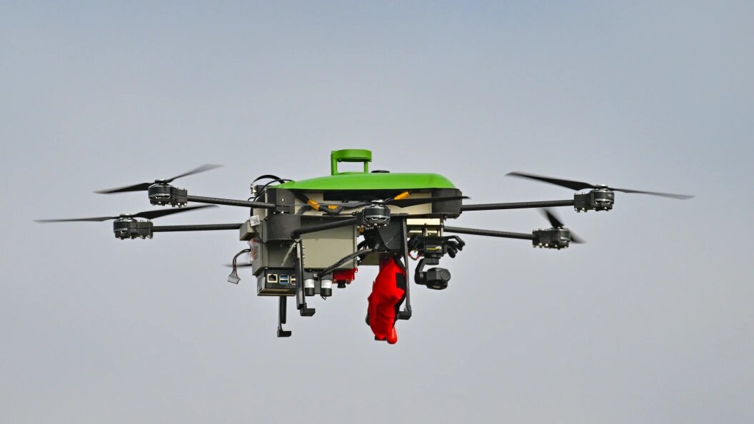    Фото: Patrick Pleul/Globallookpress