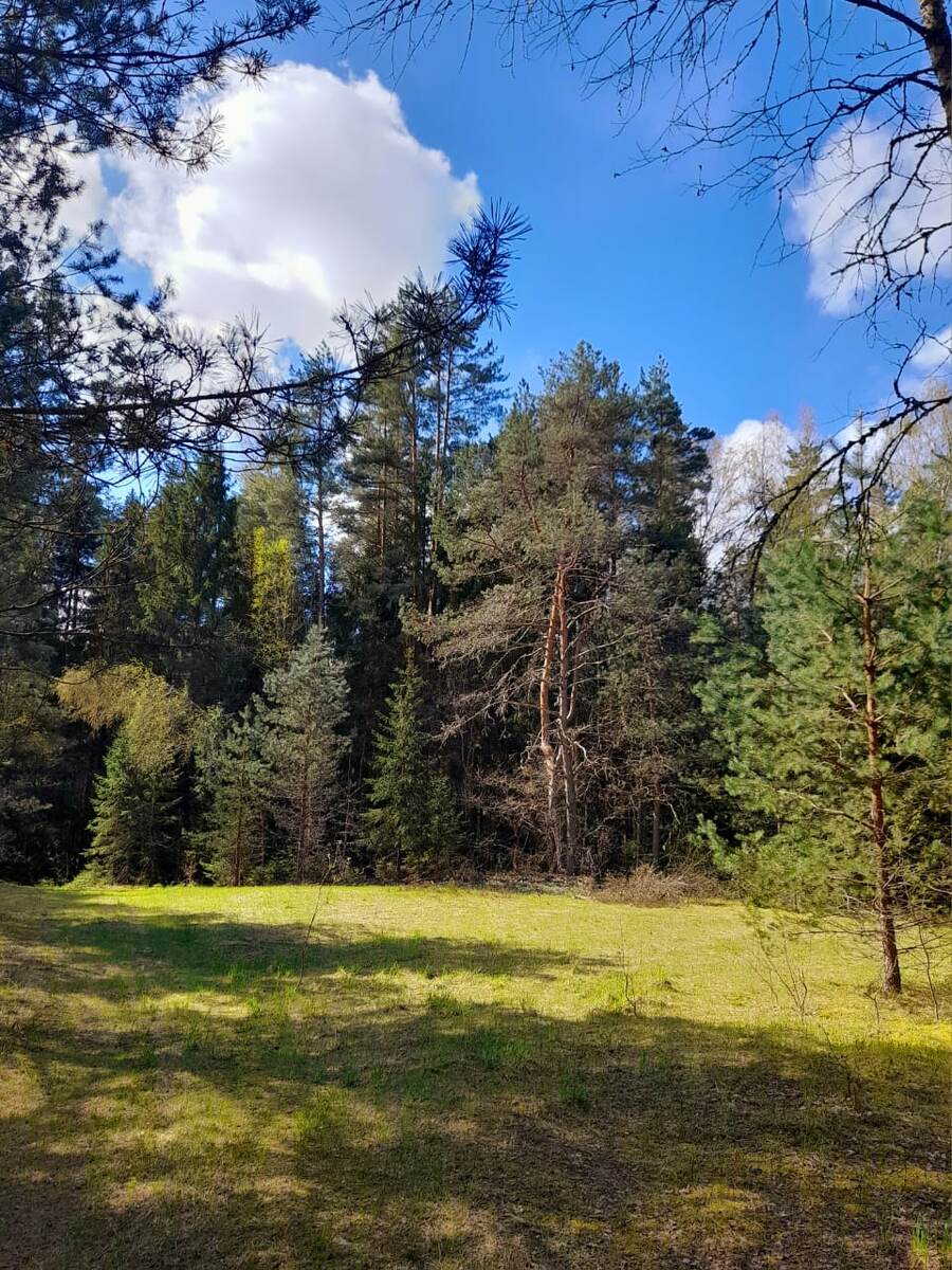 фото Дмитрия 27.04.25