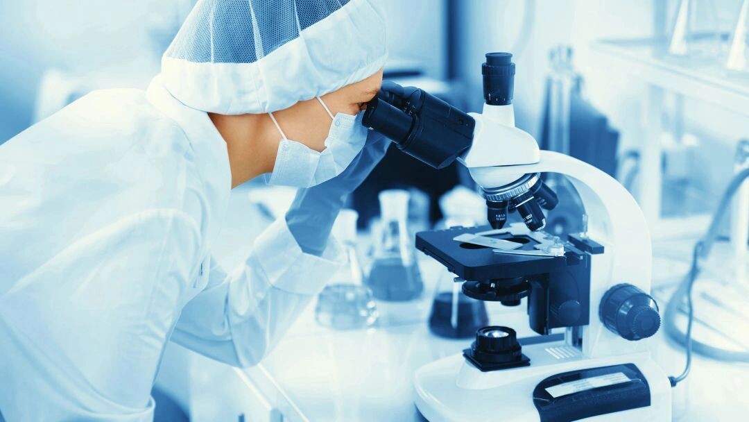    Фото: Cast Of Thousands/Shutterstock/Fotodom